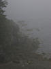 Foggy Point